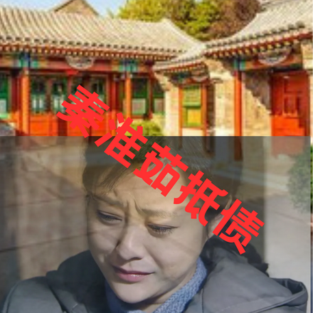 �ĺ�Ժ�����߼ּҷ��ػ����ծ